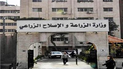 الزراعة تنفي نفوق أعداد كبيرة من المواشي نتيجة عجز في اللقاحات البيطرية