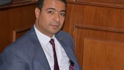 د. سيد رشاد يكتب : خلاصة الكلام في فكر الفيلسوف ومقاصد الإمام