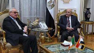 العصار يبحث مع السفير الإيطالي بالقاهرة سبل تعزيز التعاون المشترك