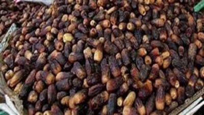 ضبط أكثر من 41 طن بلح منتهي الصلاحية بالإسكندرية