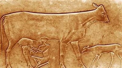 د. إيمان الجمال تكتب: لغة الفن البقرة الباكية في مصر القديمة