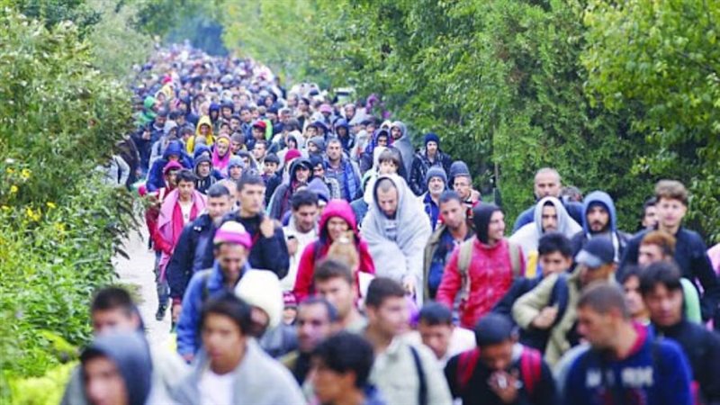 بوابة روز اليوسف