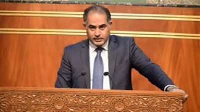 وكيل النواب: المفاوض المصري أربك مخططات الجانب الإثيوبي