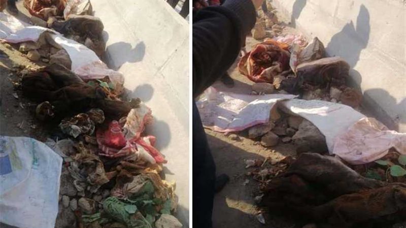 الطب الشرعي يكشف