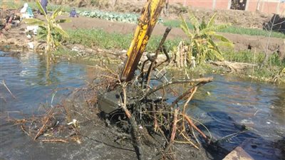 إزالة 289 تعديًا على المجاري المائية بالبحيرة