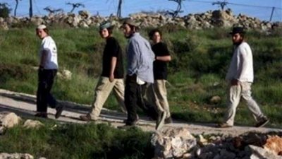 مستوطن يستولي على أرض زراعية في الأغوار الشمالية