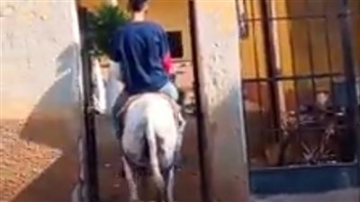 شاب يدخل مدرسة بالدقهلية ممتطيًا 