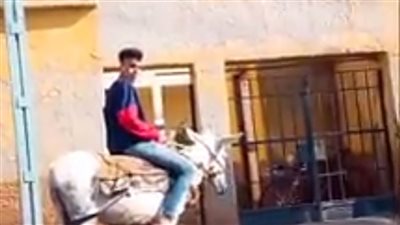 إحالة مدير مدرسة بالدقهلية للتحقيق بعد واقعة 