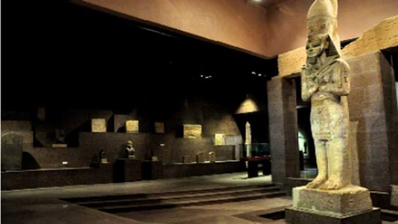 د. إيمان الجمال تكتب