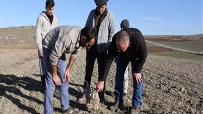 مزارع تركي يعثر على 