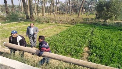 إحلال وتجديد أعمدة الإنارة بالصف 