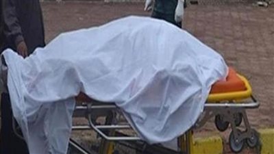 مصرع طباخ سقط داخل حفرة أثناء التنقيب عن الآثار بالدقهلية