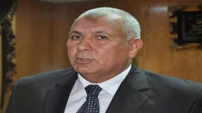 محافظ الوادي الجديد: جزء من مشروع الاستزراع السمكي للأهالي مجانا