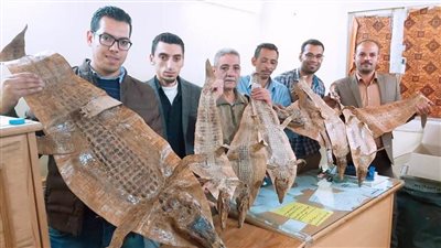 جمارك أرقين تحبط تهريب كمية من الأدوية وجلود الورل والتماسيح