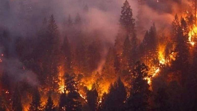 البحرية الأسترالية