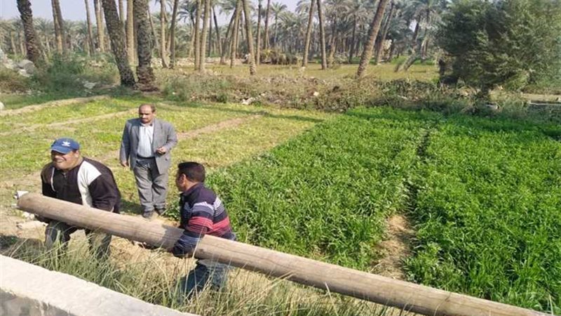 إحلال وتجديد أعمدة