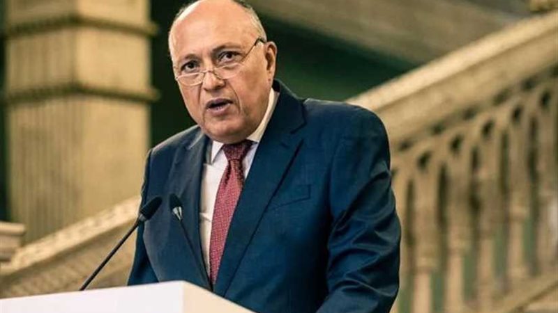 وزير الخارجية يبحث