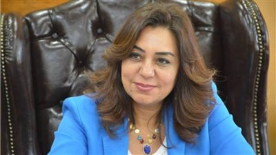 محافظ دمياط تلتقي المبعوث الخاص للأمم المتحدة للتحالف من أجل الحضارات