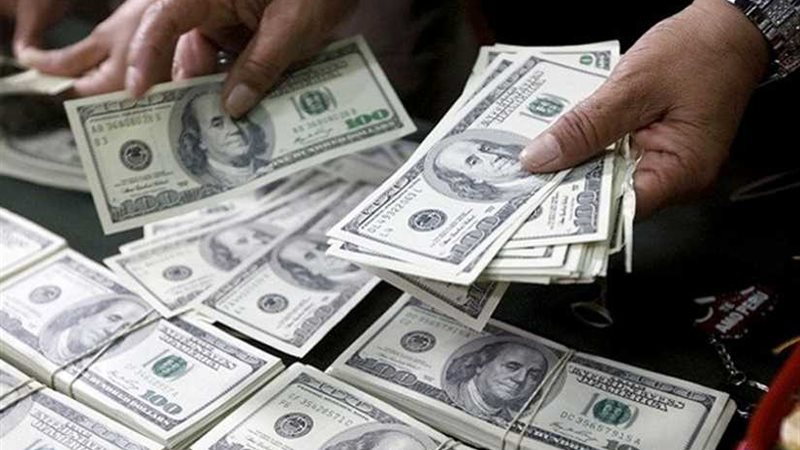 استقرار أسعار الدولار