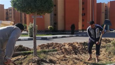 الإسكان: استكمال زراعة وصيانة المسطحات الخضراء بالسادات والنوبارية 