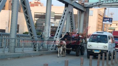مشاهد من الحياة.. شوارع مدينة بنها