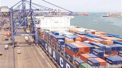 جمارك بورسعيد تحصل 5 ملايين جنيه من شركة بددت كمية من المكملات الغذائية