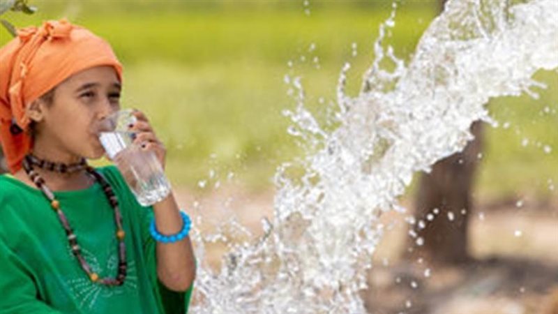 ياسر الشهاوى رئيس