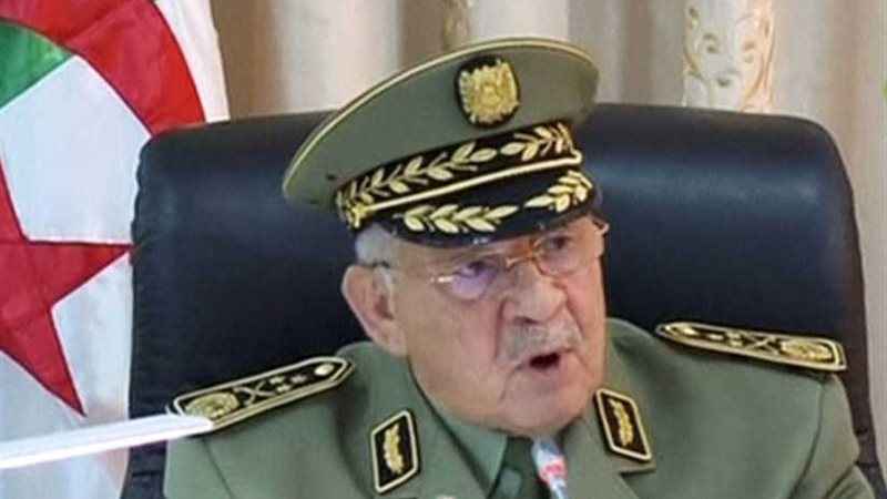 دقيقة حداد في الملاعب