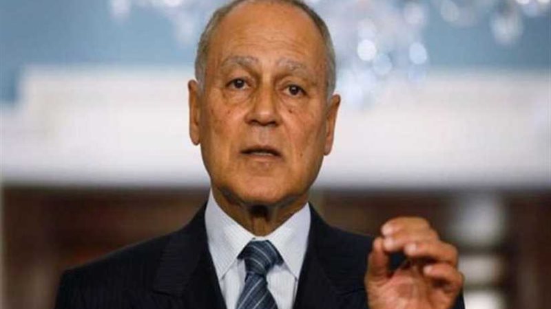 أبو الغيط يدعو لخفض