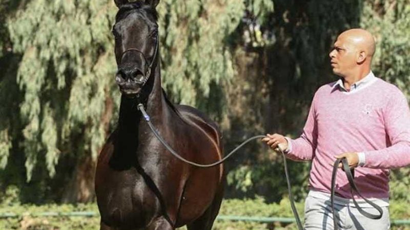 الزهراء تستعرض جمال