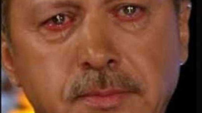 لأول مرة.. استطلاع