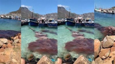 بالفيديو.. معركة طاحنة في الخليج