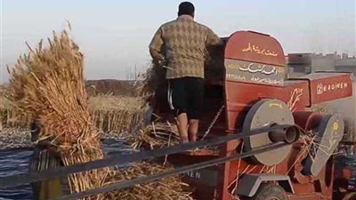 ماكينة ري تنهي حياة فلاح بـ