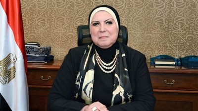 وزيرة التجارة تبحث التحديات التي تواجه المستثمرين الصناعيين