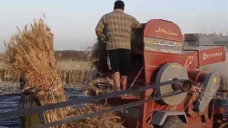 ماكينة ري تنهي حياة