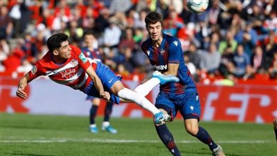 غرناطة يتعادل مع ليفانتي 1/1 في الدوري الإسباني