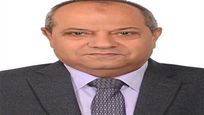 كهرباء مصر العليا تكلف 