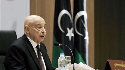 رئيس البرلمان الليبي يثمن مواقف مصر والجزائر وتونس تجاه بلاده