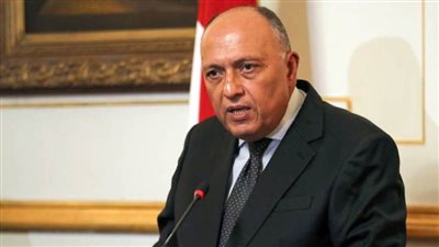  شكري يعرب عن تقدير مصر للعلاقات الوطيدة مع الكويت