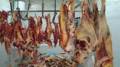 ضبط 802 كيلو لحوم مذبوحة خارج المجازر بالمنيا