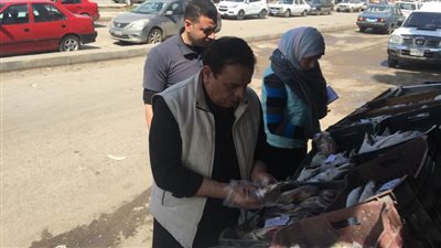 ضبط ٣٠٩ كيلو لحوم وأسماك غير صالحة بالمنصورة