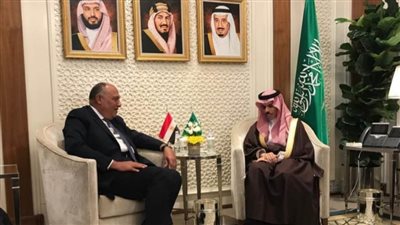 وزير الخارجية السعودي يؤكد دعم المملكة لمصر في ملف سد النهضة