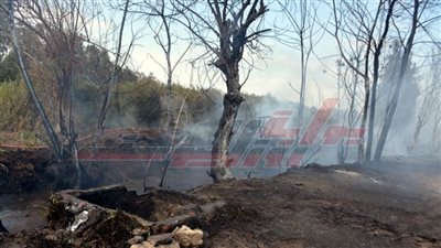 القبض على 6 متهمين بسرقة بترول وحريق بخط بترول فى بنها