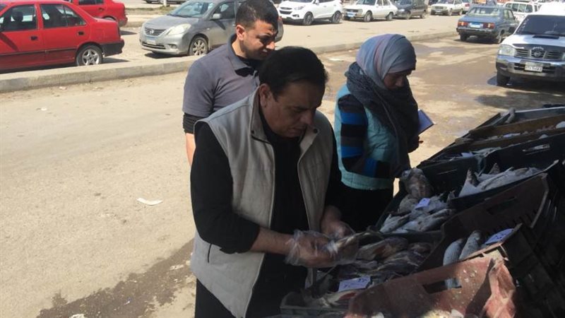 جانب من الحملة