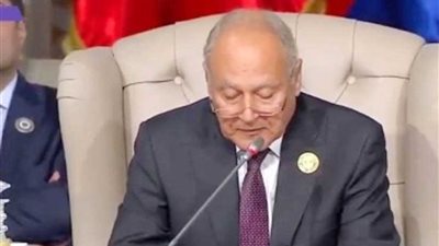 أبو الغيط: إجماعٌ عربي على رفضِ التدخلات غير العربية في ليبيا