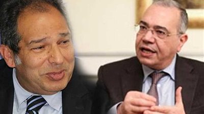 سياسيون: الاندماج بين الأحزاب الفرصة الحقيقية لتقويتها