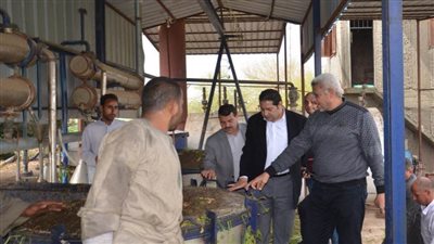 وفد  التنمية المحلية يتفقد محطة تقطير الزيوت بدلاص