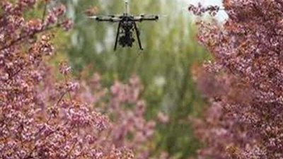 لمكافحة التغير المناخي .. علماء كنديون يطلقون مبادرة لزراعة مليار شجرة بالطائرات 