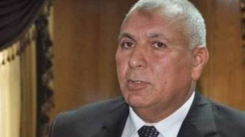 محافظ الوادي الجديد