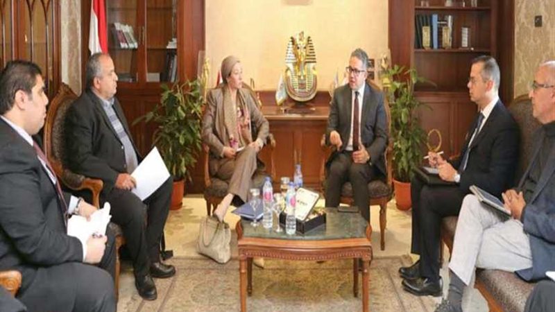 العناني وفؤاد يبحثان